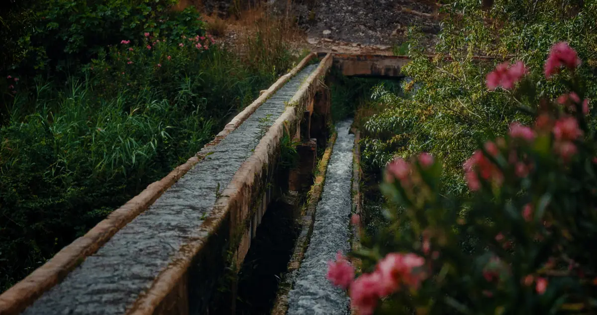 Acequia en el coto arrocero